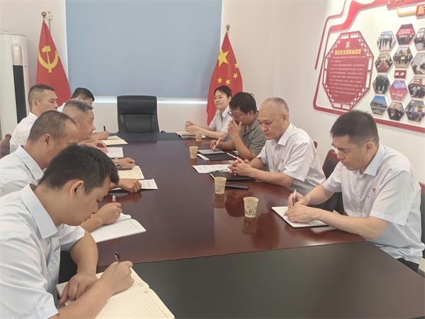 公司領(lǐng)導(dǎo)調(diào)研指導(dǎo)鼎信公司、藍盾...